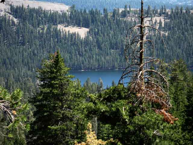 For just a second you get a glimpse of Lake Alpine as you head down Bee Gulch